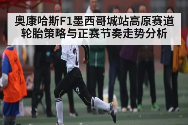 奥康哈斯F1墨西哥城站高原赛道轮胎策略与正赛节奏走势分析